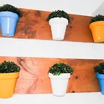 Апартаменти Conilplus Azucena Iii Коніль-де-ла-Фронтера