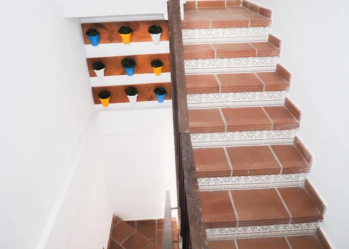 Conilplus Azucena Iii Conil De La Frontera