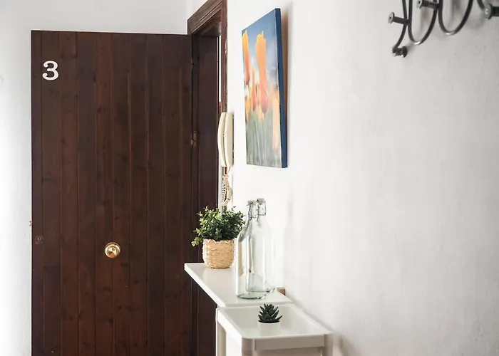 Conilplus Azucena Iii