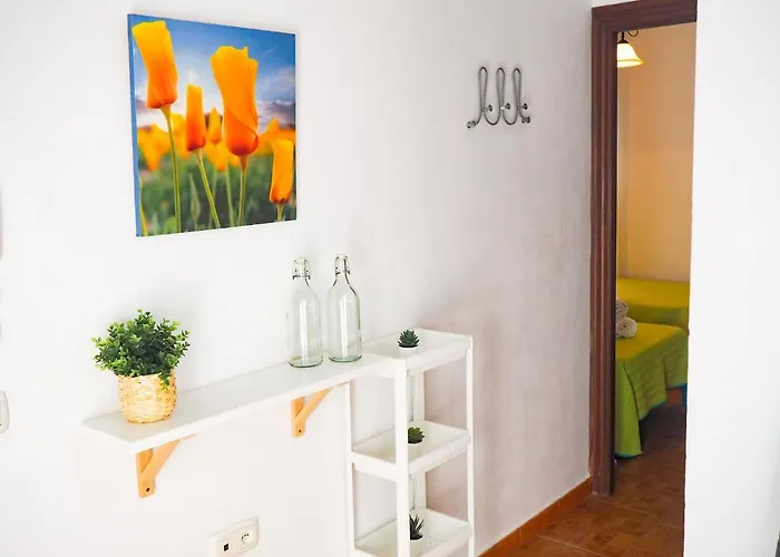 Appartement Conilplus Azucena Iii *