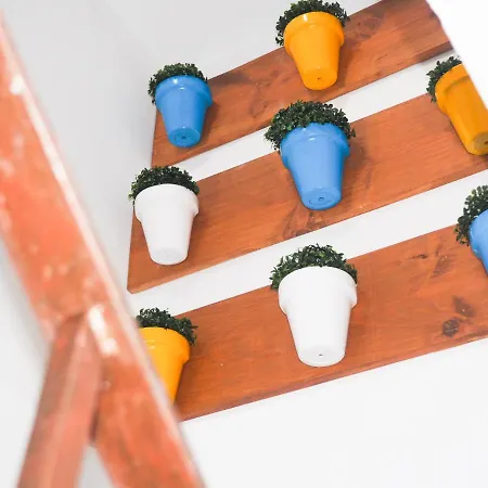 Conilplus Azucena Iii Apartmán